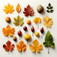 un' mazzo di autunno le foglie disposte su un' tavolo. il le foglie siamo un' varietà di colori foto