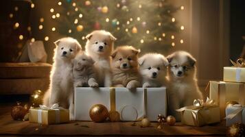 bellissimo regalo di lotto di cuccioli foto