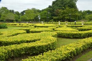 campo di piegato impianti e giardino decorazioni nel un' tailandese giardino, bangkok foto