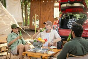 gruppo turisti potabile birra-alcol e giocare chitarra insieme con godere e felicità nel estate mentre campeggio foto