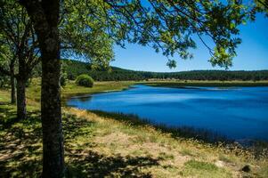 parco nazionale delle cévennes foto