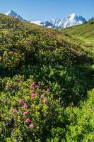 francese Alpi paesaggio foto