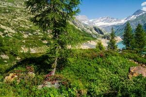 svizzero Alpi paesaggio foto