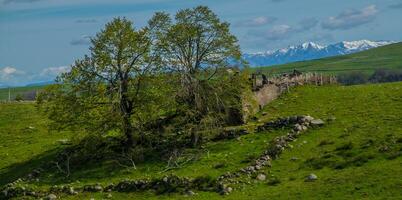 naturale parco di alvernia vulcani foto