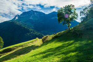 regionale naturale parco di bauges foto