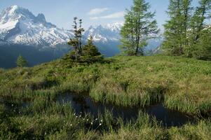 paesaggio di il francese Alpi foto