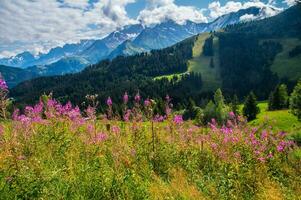 paesaggio di il Alpi nel Francia nel estate foto