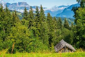 di legno passerella nel il montagne foto