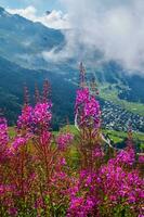 paesaggio di il Alpi nel Svizzera nel estate foto
