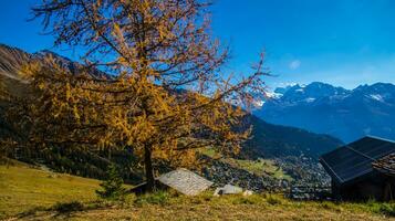 paysage des alpes suisse it automne foto