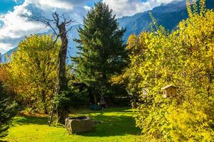 autunno nel il Alpi, Italia foto