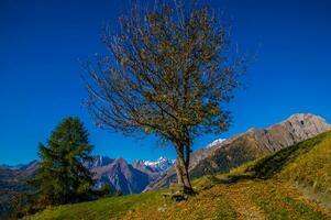 paysage des alpes suisse it automne foto