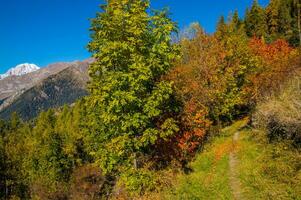 paysage des alpes suisse it automne foto