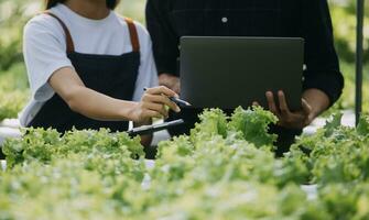 nel il industriale serra Due agricolo ingegneri test impianti Salute e analizzare dati con tavoletta computer. foto