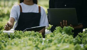 nel il industriale serra Due agricolo ingegneri test impianti Salute e analizzare dati con tavoletta computer. foto