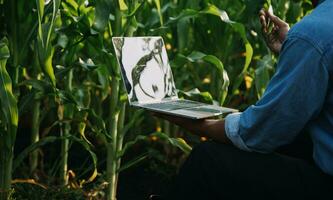 agricoltore utilizzare il nucleo dati Rete nel il Internet a partire dal il mobile per convalidare, test, e Selezionare il nuovo Ritaglia metodo. giovane agricoltori e tabacco agricoltura foto