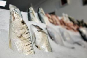 cibo per pesci in una bancarella del mercato del pesce foto