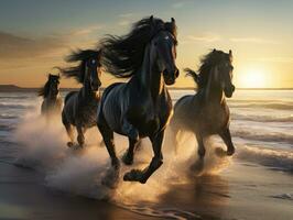mandria di frisone cavalli in esecuzione nel il acqua a tramonto. ai generativo foto
