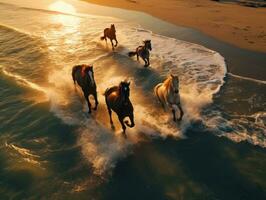 bellissimo cavalli in esecuzione su il spiaggia a tramonto. cavalli nel il mare. ai generativo foto