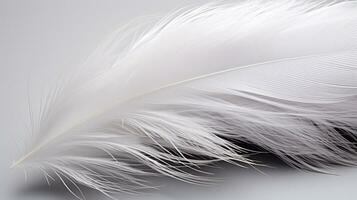 piuma di un' bianca uccello su un' grigio sfondo avvicinamento. ai generativo foto