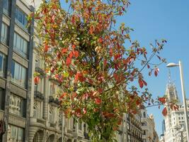 il città od Madrid foto