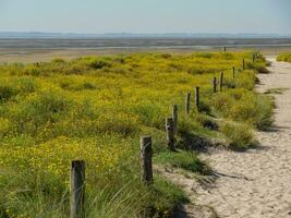 il isola di langeoog foto