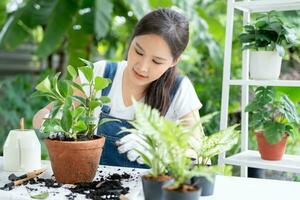 bellissimo asiatico donna femmina pianta e prendere cura alberi nel vasi di fiori come passatempo e relax. pianta i saldi piccolo attività commerciale. Casa giardino, giungla, giardiniere, fiore decorazione, verde, contento stile di vita nel casa foto