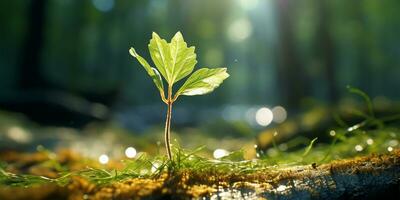 verde le foglie sfondo nel soleggiato giorno. bellissimo natura scena con luce del sole ai generato foto