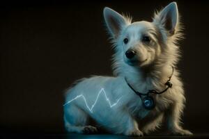 veterinario concetto ,impulso, cani battito cardiaco. generativo ai. foto