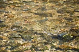 immagine delle onde d'acqua foto