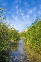 bellissima valle fluviale situata ad al taif, in arabia saudita foto