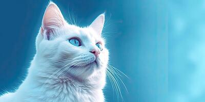 gatto ritratto su minimo blu sfondo per banner ai generativo foto