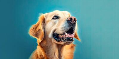 cane ritratto su un' minimo blu sfondo per banner ai generativo foto