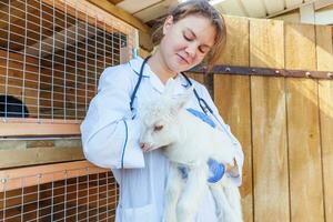 giovane veterinario donna con stetoscopio Tenere e l'esame capra ragazzo su ranch sfondo. giovane goatling nel veterinario mani per dai un'occhiata su nel naturale eco azienda agricola. moderno animale bestiame, ecologico agricoltura. foto