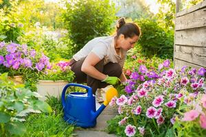 giardinaggio e agricoltura concetto. giovane donna azienda agricola lavoratore giardinaggio fiori nel giardino. giardiniere piantare fiori per mazzo. estate giardinaggio opera. ragazza giardinaggio a casa nel Giardino dietro la casa. foto