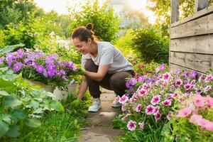 giardinaggio e agricoltura concetto. giovane donna azienda agricola lavoratore giardinaggio fiori nel giardino. giardiniere piantare fiori per mazzo. estate giardinaggio opera. ragazza giardinaggio a casa nel Giardino dietro la casa. foto