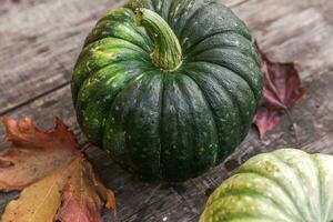 sfondo autunnale. zucche naturali di vista di caduta di autunno su fondo di legno. carta da parati ispiratrice di ottobre o settembre. cambio di stagione concetto di cibo biologico maturo, festa di halloween giorno del ringraziamento foto