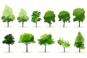 un' collezione di diverso tipi di alberi. generativo ai foto