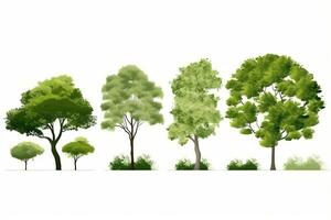 un' impostato di alberi con diverso dimensioni e forme. generativo ai foto
