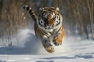 un' tigre in esecuzione attraverso il neve. generativo ai foto