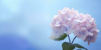 bellissimo ortensia fiori vuoto spazio sfondo, ai generativo foto