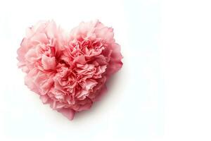cuore sagomato garofano fiore vuoto spazio bianca sfondo, ai generativo foto