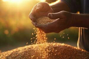 vicino su mani di un' maschio contadino scrosciante grano a tramonto. raccogliere stagione concetto, generativo ai foto