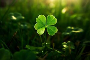 un' verde trifoglio porta fortuna su st patricks giorno foto