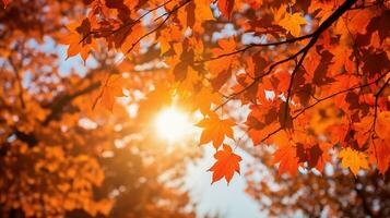 autunno le foglie nel il luce del sole, nel il stile di arancia e cremisi. ai generato. foto