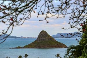 l'isola dei cappelli cinesi foto