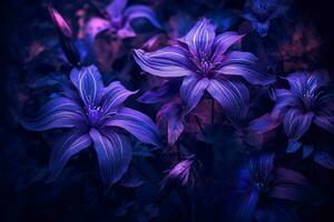 viola fiori nel il buio foto