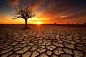 albero crescere siccità tramonto foto