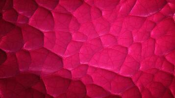caldo rosa struttura alto qualità foto