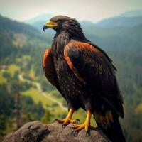nazionale uccello di Georgia alto qualità 4k ultra h foto